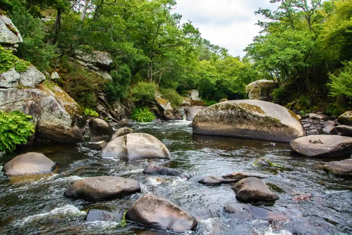 Ou pecher en riviere en Bretagne ? Les meilleurs cours d'eau